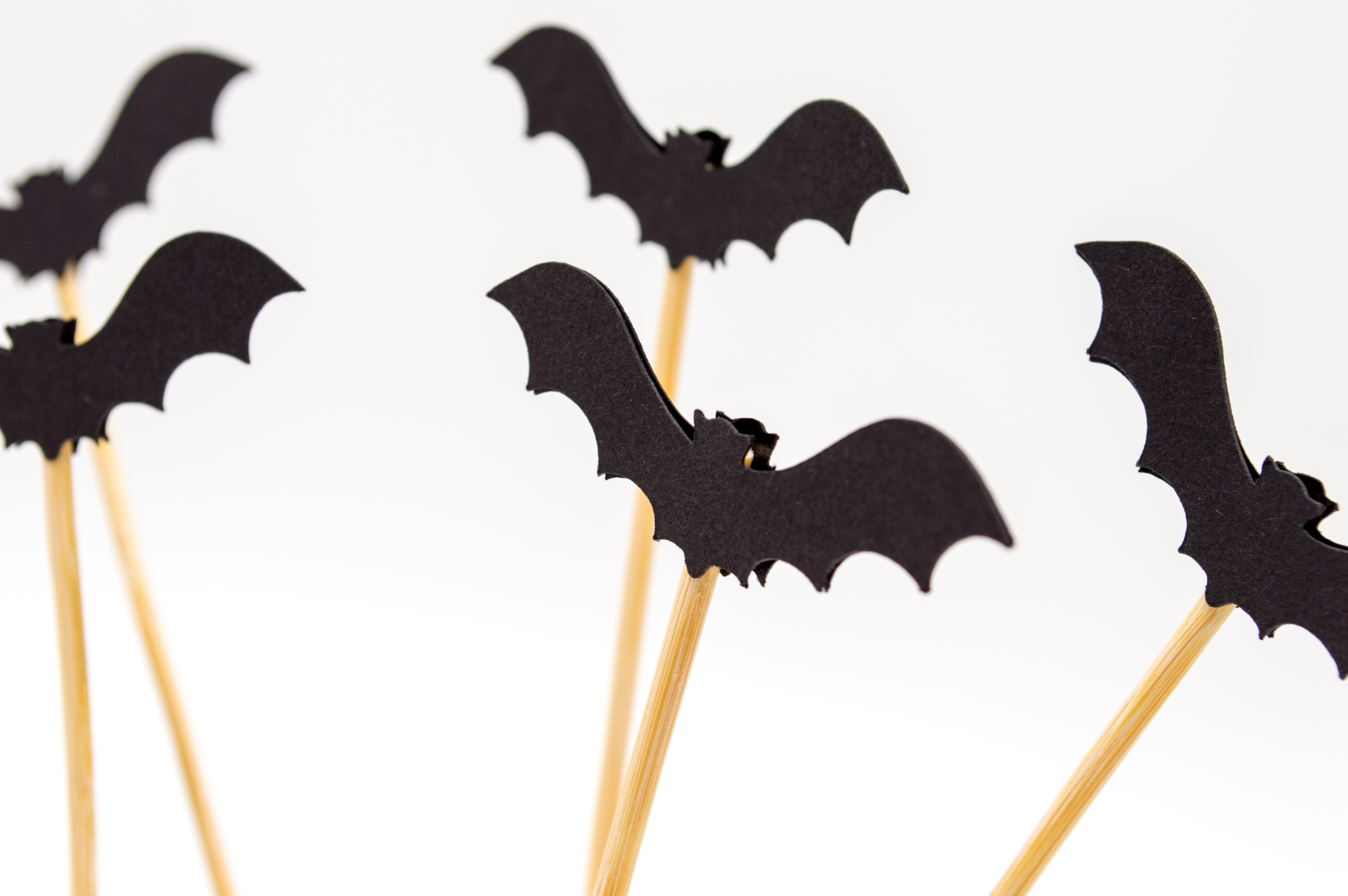 DRACULA, il vampiro energetico